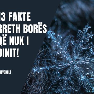 13 fakte që nuk i dinit rreth borës!