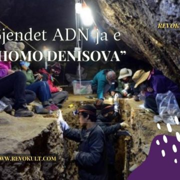 Gjendet ADN-ja e “Homo Denisova”