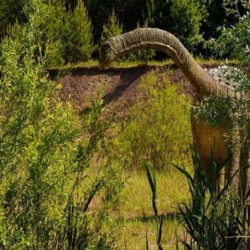 Ai që zhduku dinozaurët? Zbulohet në Afrikë krateri gjigand i goditjes së asteroidit