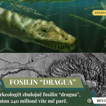 Arkeologët zbulojnë fosilin “dragua”, daton 240 milionë vite më parë