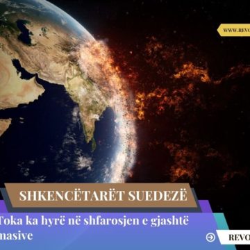 Studimi i shkencëtarëve suedezë: Toka ka hyrë në shfarosjen e gjashtë masive