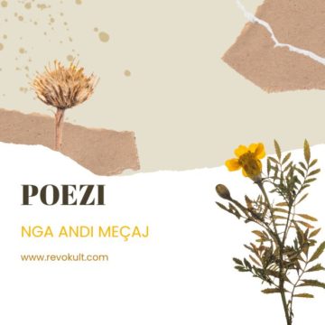 POEZI NGA ANDI MEÇAJ