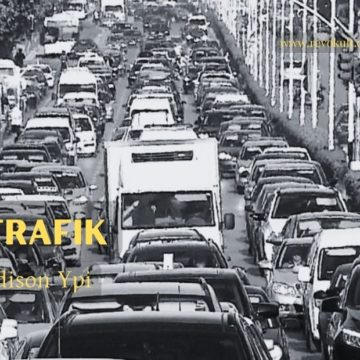 Edison Ypi: Trafik