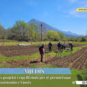 Nis projekti i ripyllëzimit për të përmirësuar ekosistemin e Vjosës