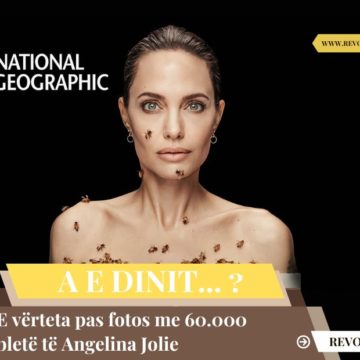 E vërteta pas fotos me 60.000 bletë të Angelina Jolie