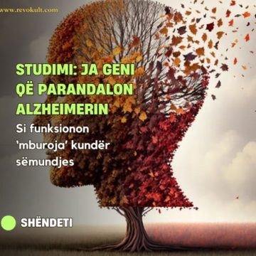 Studimi: Ja geni që parandalon Alzheimerin, si funksionon ‘mburoja’ kundër sëmundjes