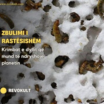 Zbulimi i rastësishëm te krimbat e dyllit që mund të ndryshojë planetin