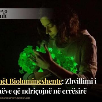 Bimët Biolumineshente: Zhvillimi i bimëve që ndriçojnë në errësirë