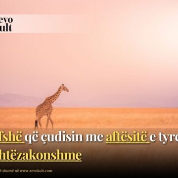 Kafshë që çudisin me aftësitë e tyre të jashtëzakonshme