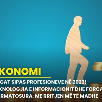 Pagat sipas profesioneve në 2023! Teknologjia e Informacionit dhe Forcat e Armatosura, me rritjen më të madhe