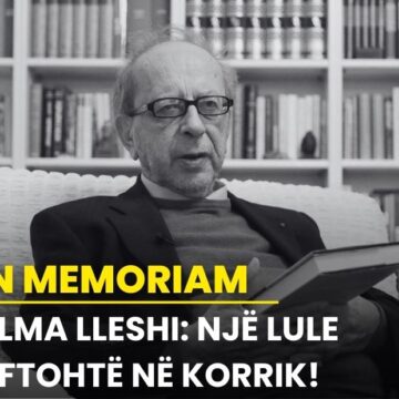 Alma Lleshi: Një lule e ftohtë në korrik!