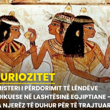 “Misteri i përdorimit të lëndëve ndikuese në lashtësinë Egjiptiane – A ka njerëz të duhur për të trajtuar?”