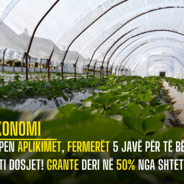 Hapen aplikimet, fermerët 5 javë për të bërë gati dosjet! Grante deri në 50% nga shteti