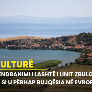 Vendbanimi i lashtë i Linit zbulon se si u përhap bujqësia në Evropë