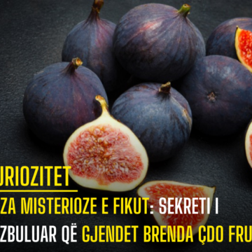 Miza Misterioze e Fikut: Sekreti i Pazbuluar që Gjendet Brenda Çdo Fruti