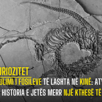 Zbulimi i Fosileve të Lashta në Kinë: Aty ku Historia e Jetës Merr Një Kthesë Të Re