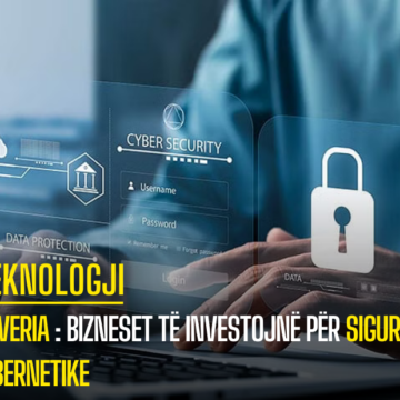 Qeveria : Bizneset të investojnë për sigurinë kibernetike