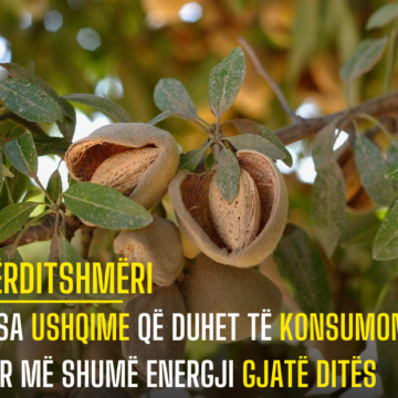 Disa ushqime që duhet të konsumoni për më shumë energji gjatë ditës