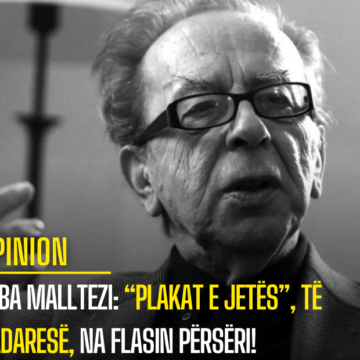 Alba Malltezi: “Plakat e jetës”, të Kadaresë, na flasin përsëri!