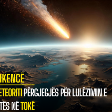 Meteoriti përgjegjës për lulëzimin e jetës në Tokë