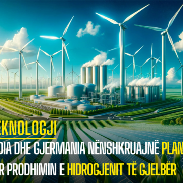 India dhe Gjermania nënshkruajnë planin për prodhimin e hidrogjenit të gjelbër