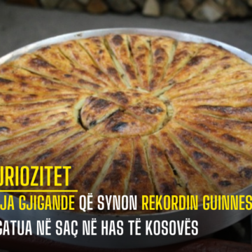 Flija gjigande që synon Rekordin Guinness, u gatua në saç në Has të Kosovës