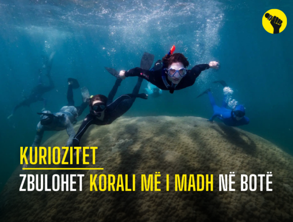 Zbulohet korali më i madh në botë