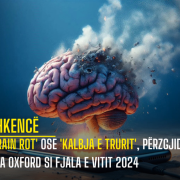 ‘Brain rot’ ose ‘kalbja e trurit’, përzgjidhet nga Oxford si fjala e vitit 2024