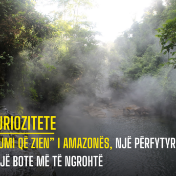 “Lumi që Zien” i Amazonës, një përfytyrim i një bote më të ngrohtë