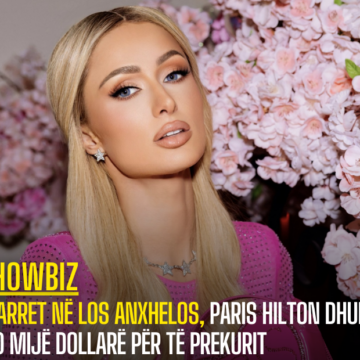 Zjarret në Los Anxhelos, Paris Hilton dhuron 100 mijë dollarë për të prekurit