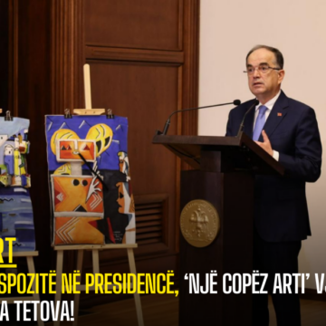 Ekspozitë në presidencë, ‘Një copëz arti’ vjen nga Tetova!