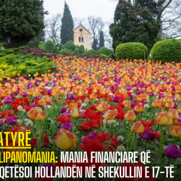 Tulipanomania: Mania Financiare që Shqetësoi Hollandën në Shekullin e 17-të