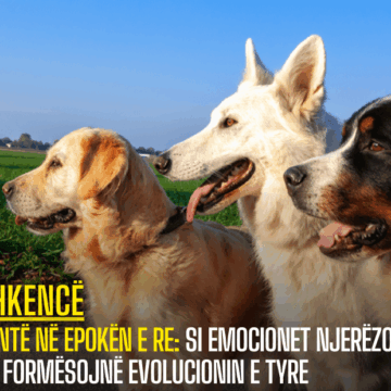 Qentë në Epokën e Re: Si emocionet njerëzore po formësojnë evolucionin e tyre