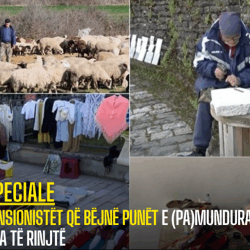 Pensionistët që bëjnë punët e (pa)mundura nga të rinjtë