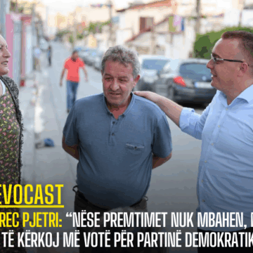 Ndrec Pjetri: “Nëse premtimet nuk mbahen, nuk do të kërkoj më votë për Partinë Demokratike”