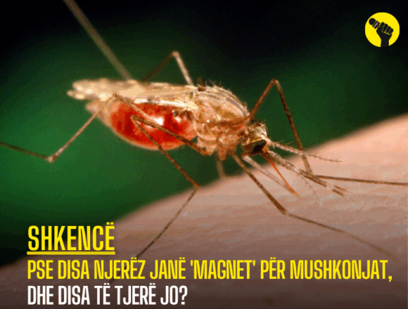 www.revokult.com - 2025-06-09T023949.665 Pse disa njerëz janë ‘magnet’ për mushkonjat, dhe disa të tjerë jo?
