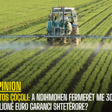 Fatos Çoçoli: A ndihmohen fermerët me 30 milionë euro garanci shtetërore?