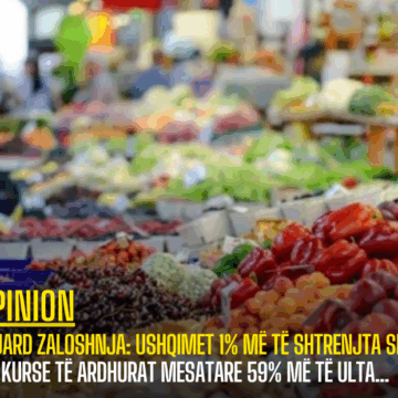 Eduard Zaloshnja: Ushqimet 1% më të shtrenjta se në BE, kurse të ardhurat mesatare 59% më të ulta…
