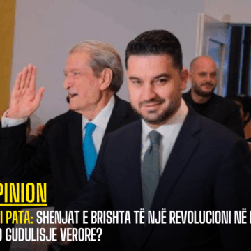 Ylli Pata: Shenjat e brishta të një revolucioni në PD, apo gudulisje verore?