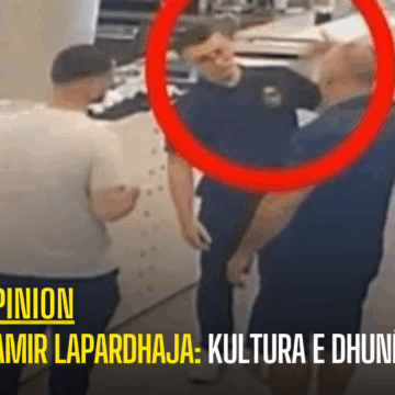 Namir Lapardhaja: Kultura e dhunës