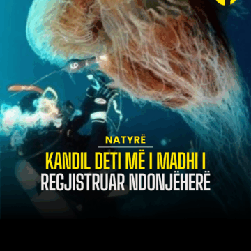 Kandil deti më i madhi i regjistruar ndonjëherë