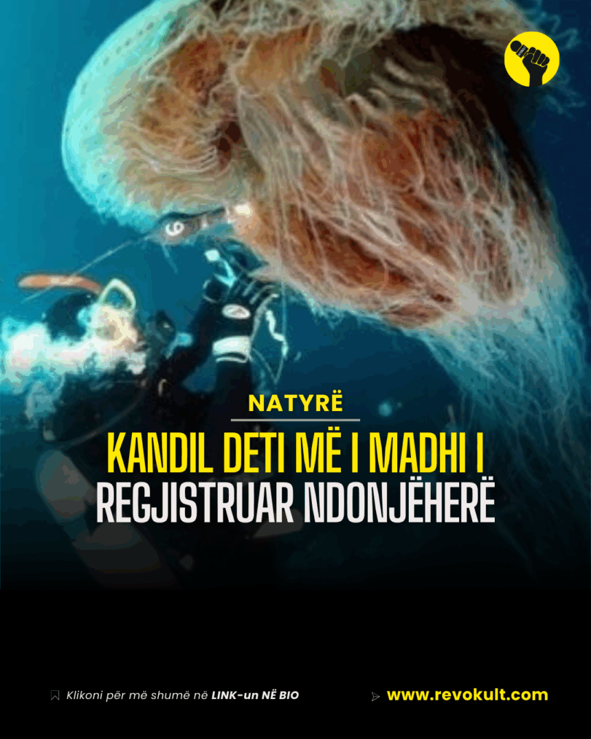 Kandil deti më i madhi i regjistruar ndonjëherë