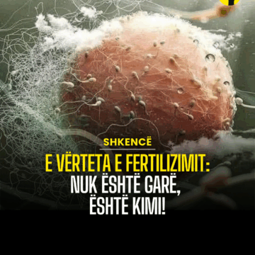 E vërteta e fertilizimit: Nuk është garë, është kimi!