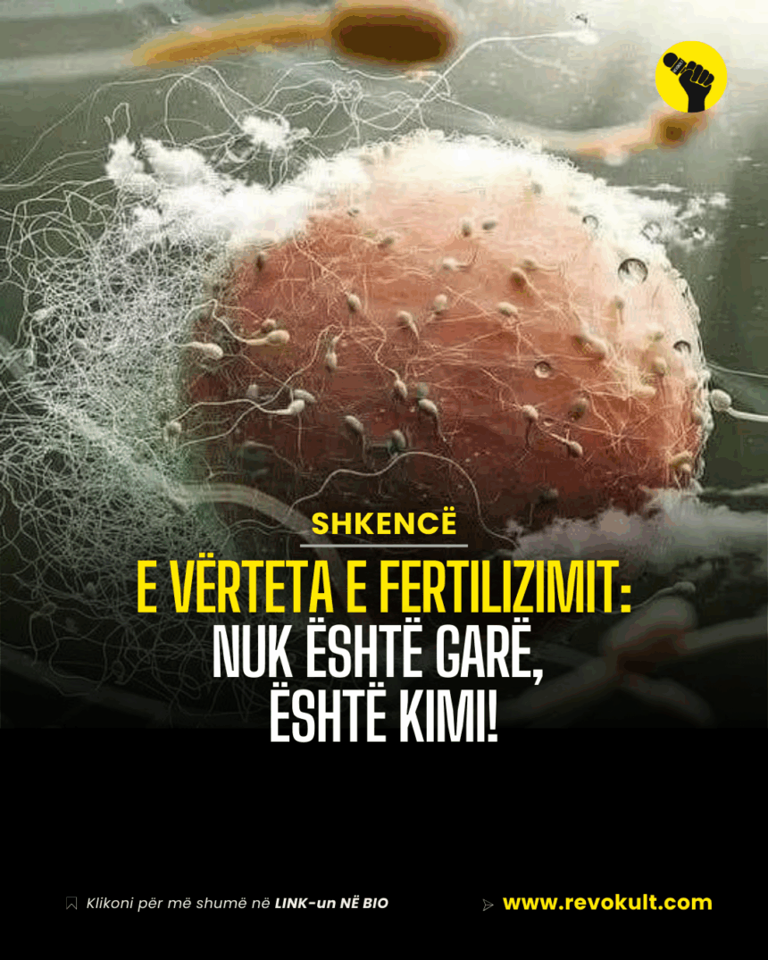 E vërteta e fertilizimit: Nuk është garë, është kimi!