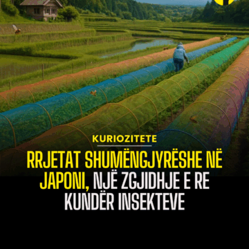 Rrjetat shumëngjyrëshe në Japoni, një zgjidhje e re kundër insekteve