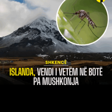 Islanda, vendi i vetëm në botë pa mushkonja