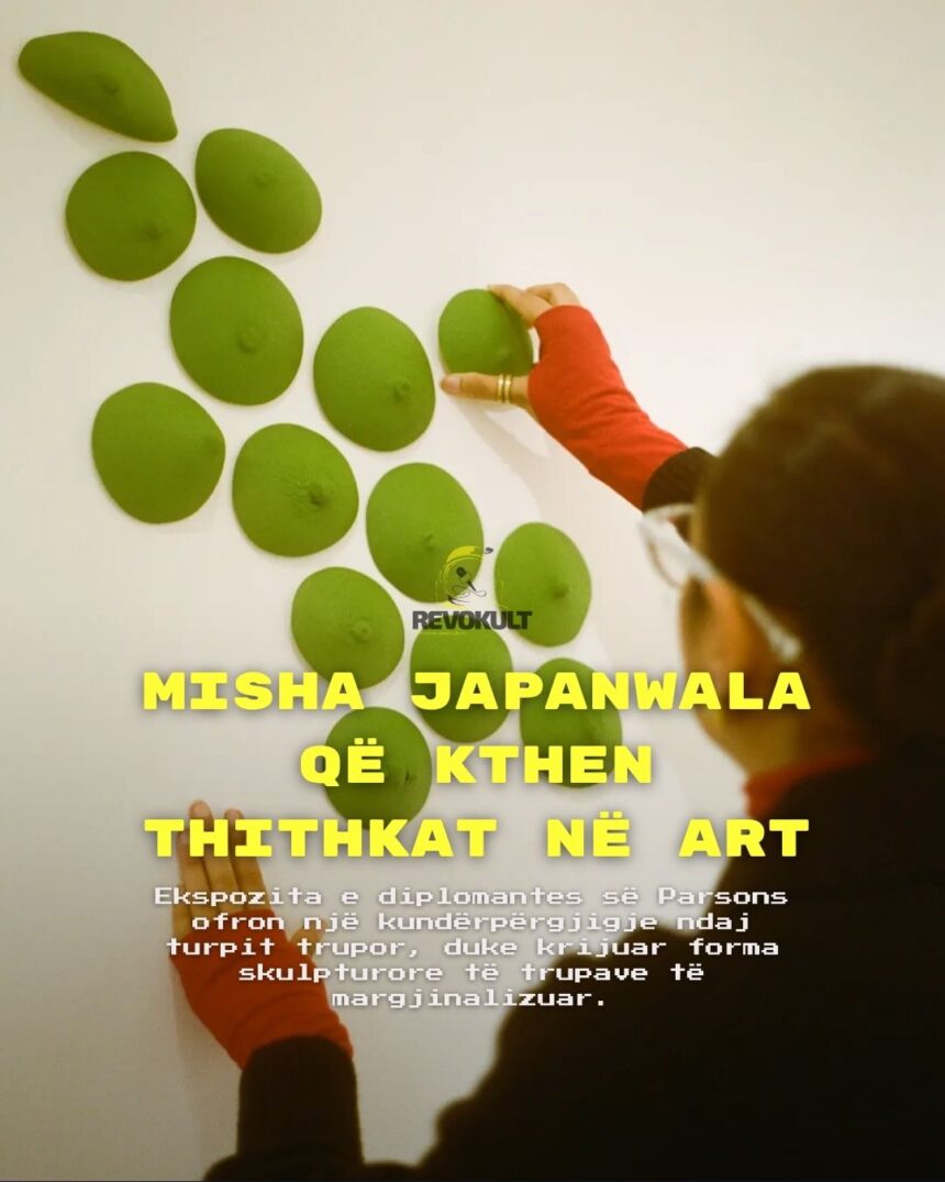 Misha Japanwala që kthen thithkat në Art