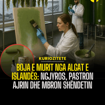 Boja e murit nga algat e Islandës: Ngjyros, pastron ajrin dhe mbron shëndetin