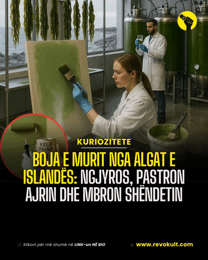 Boja e murit nga algat e Islandës: Ngjyros, pastron ajrin dhe mbron shëndetin