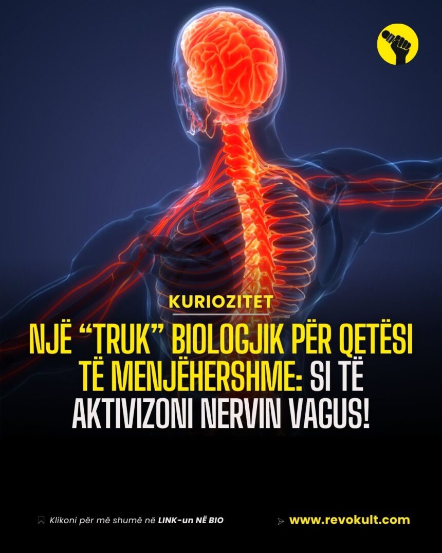 Një “truk” biologjik për qetësi të menjëhershme: Si të aktivizoni nervin vagus!